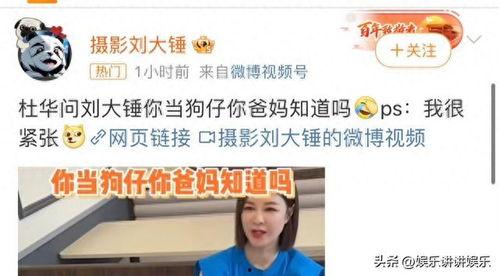 刘大锤爆料王字的视频在线观看,王字视频幕后真相，在线观看一探究竟