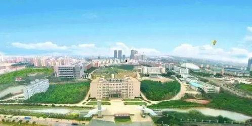 大爆料汉口学院视频,大爆料视频背后的真相与内幕